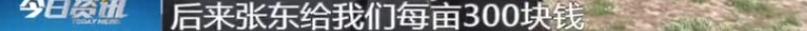 DƬ